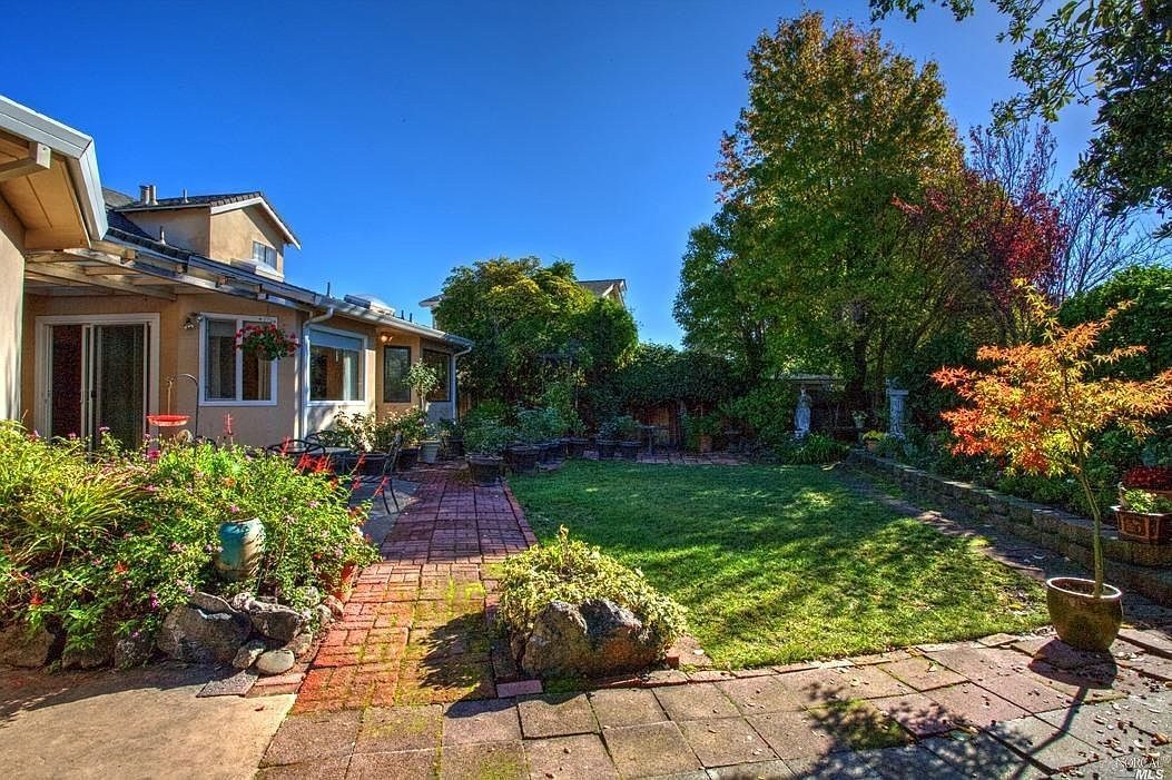 Winnie's back garden